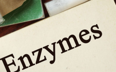 Simple Science: How in the World do Enzymes Clean?